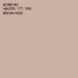 #CBB1A3 - Bison Hide Color Image